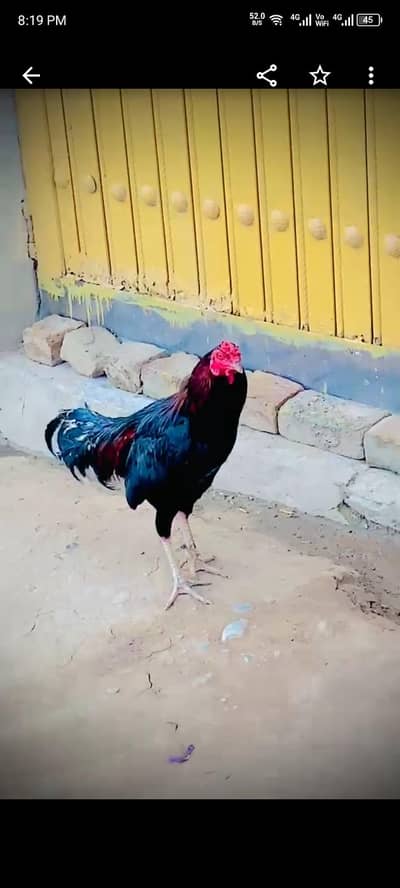 bht acha ha