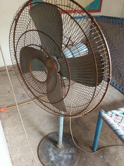 buy new fan