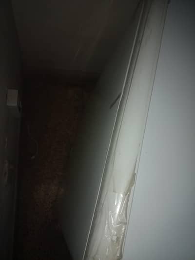 urgent sale d-freezer exchange option also avaioable with fridge