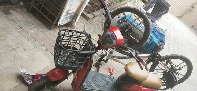 Scotty Bacho wali(O3O2692349O)