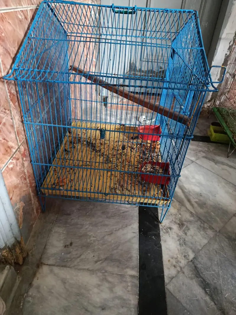 parrot cage new condition — photo 2