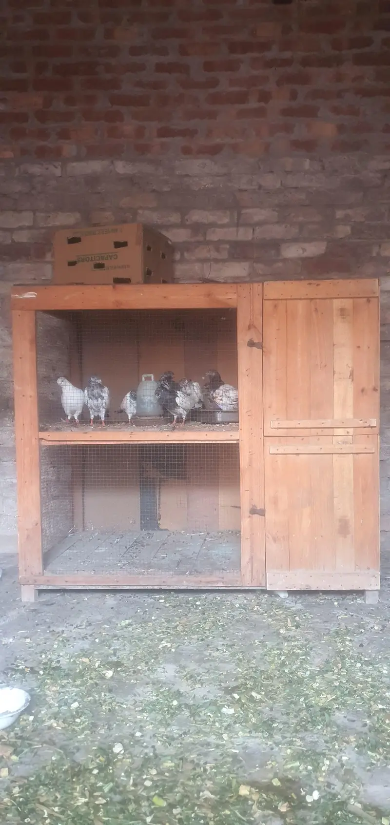 wood heavy Cage