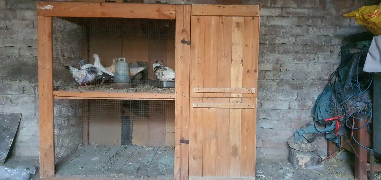 wood heavy Cage — photo 3