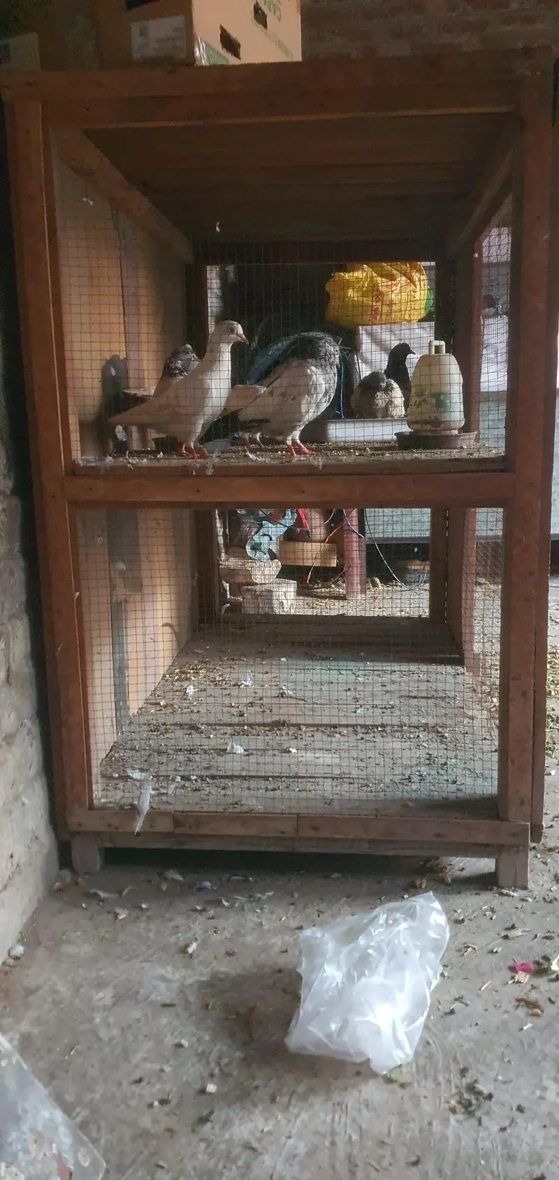 wood heavy Cage — photo 4
