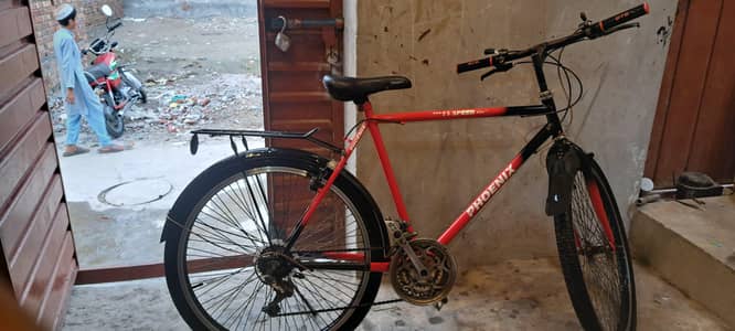 phoenix bicycle