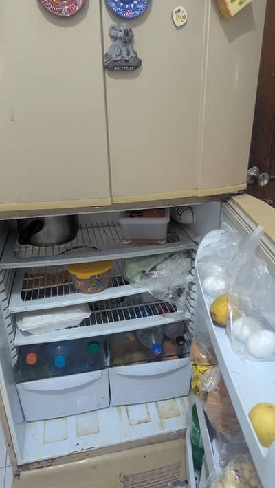 pel fridge. medium