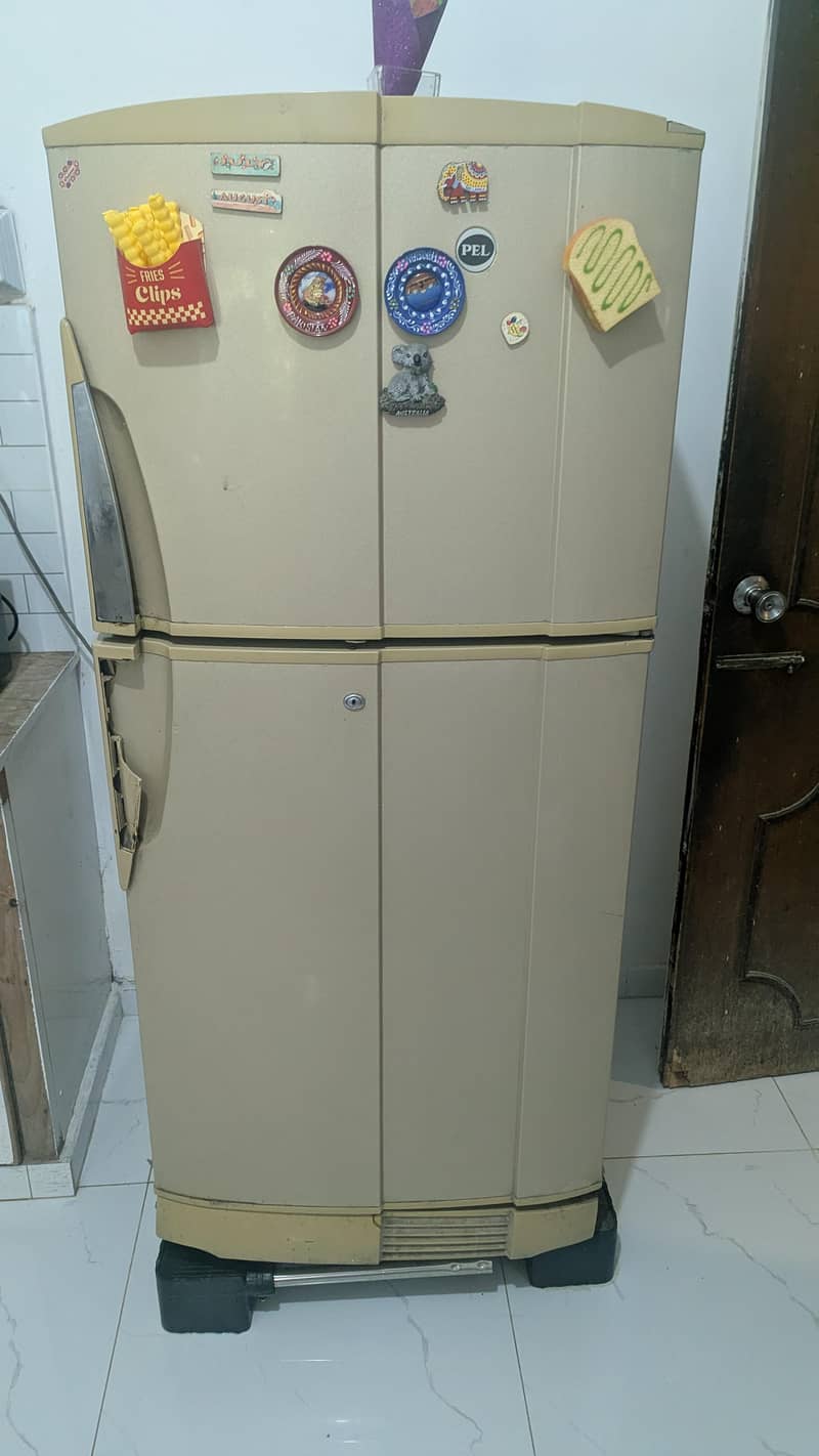 pel fridge. medium 1