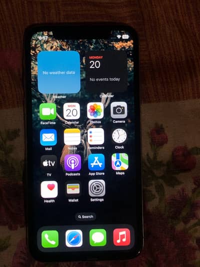 iPhone X