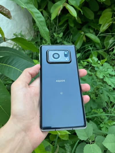 Sharp Aquos R6