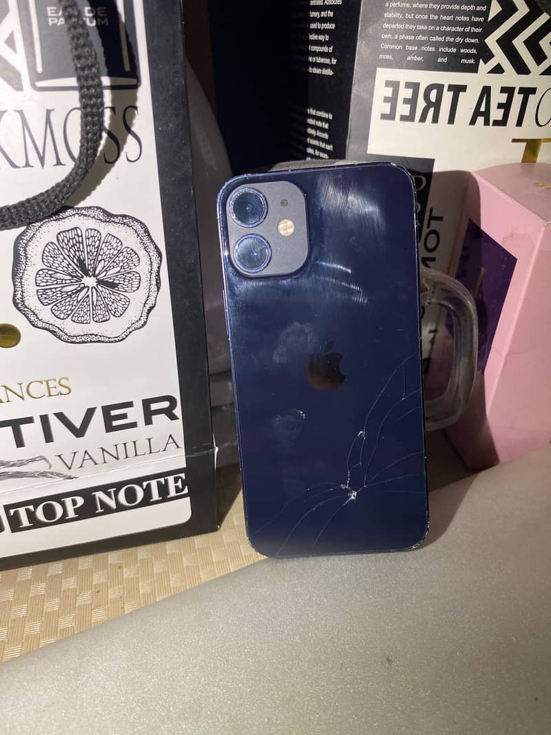 Apple iPhone 12 mini 1