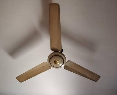 fans for sale