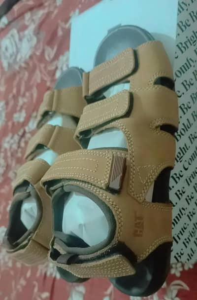caterpillar sandal