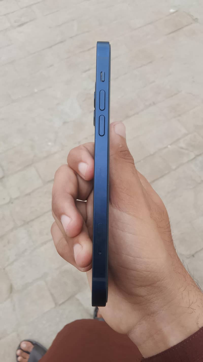 Apple iPhone 12 1