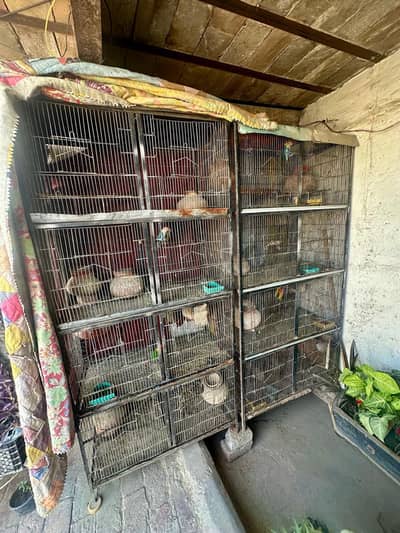 2 cages for birds ( 7ft height 3.5 weirth one Piece)