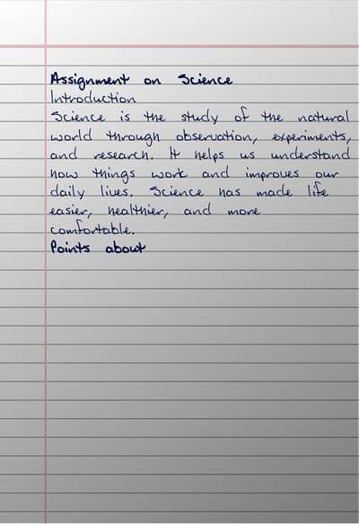 assignment work expert, essays, projects , presentation