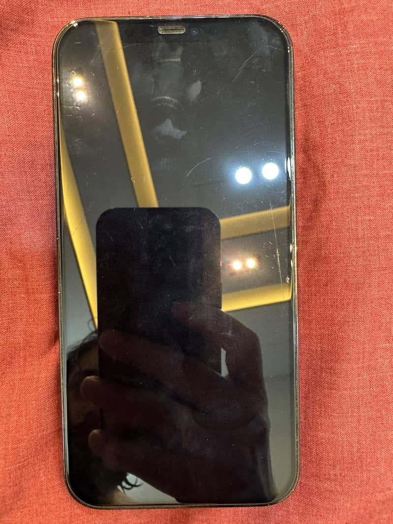 Apple iPhone 12 Pro Max 2