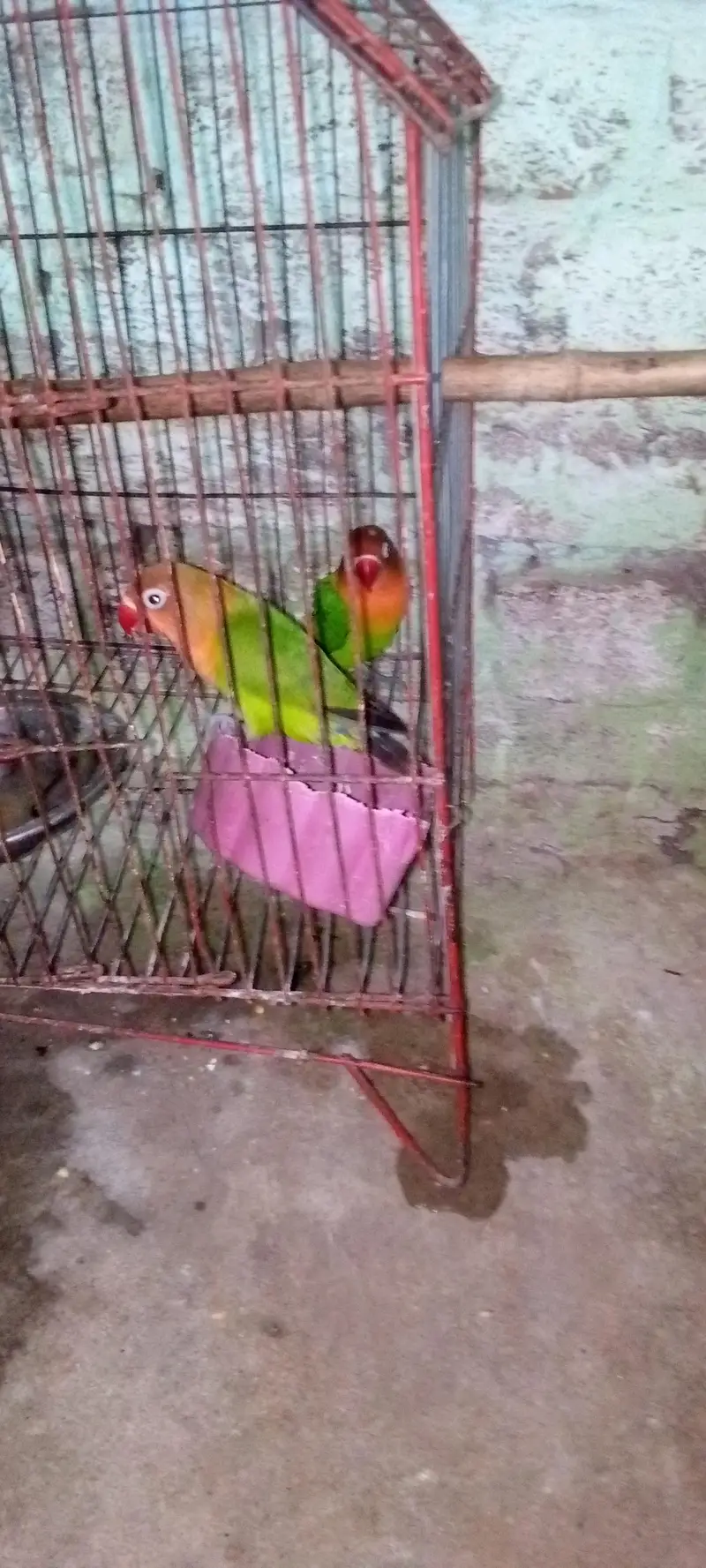 Urgent sale — photo 2