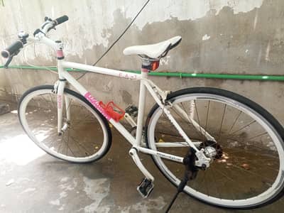 Imported hybrid bike
