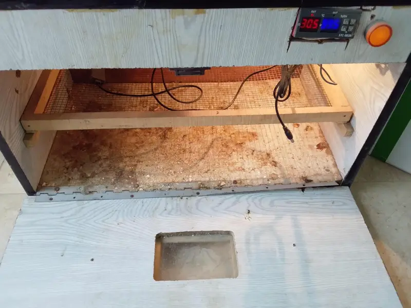 meual incubator