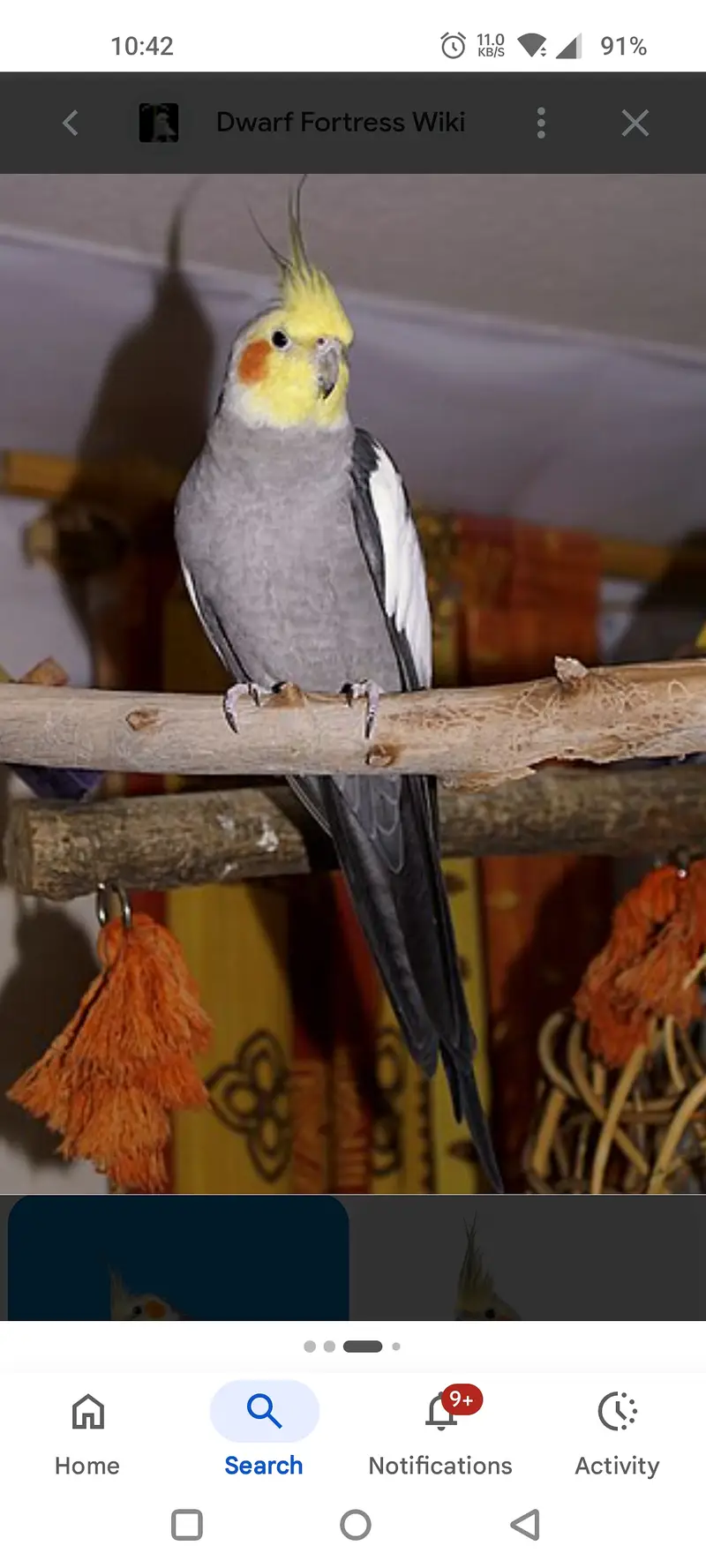 Cocktail bird grey cocktail 2 pair — photo 4