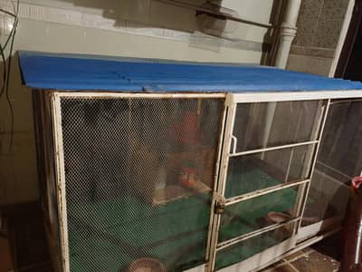 Hen's  Cage