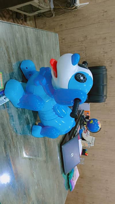 puppy, ride