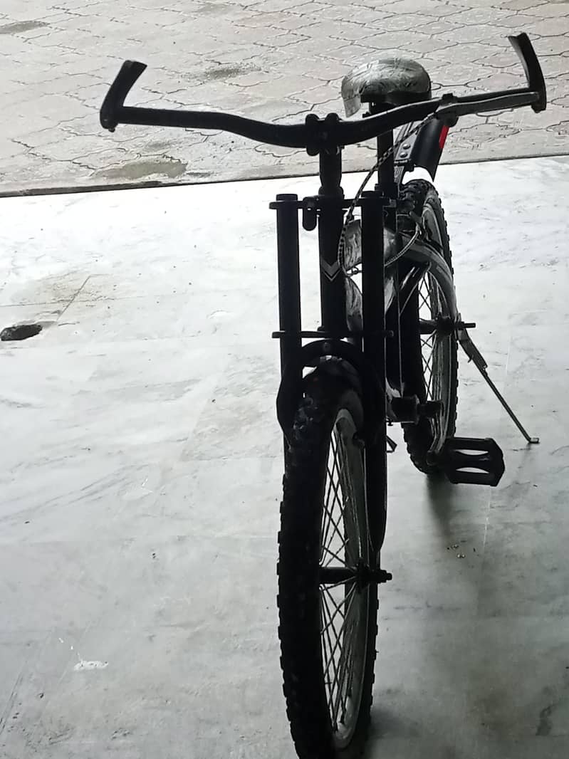 Cycle 1