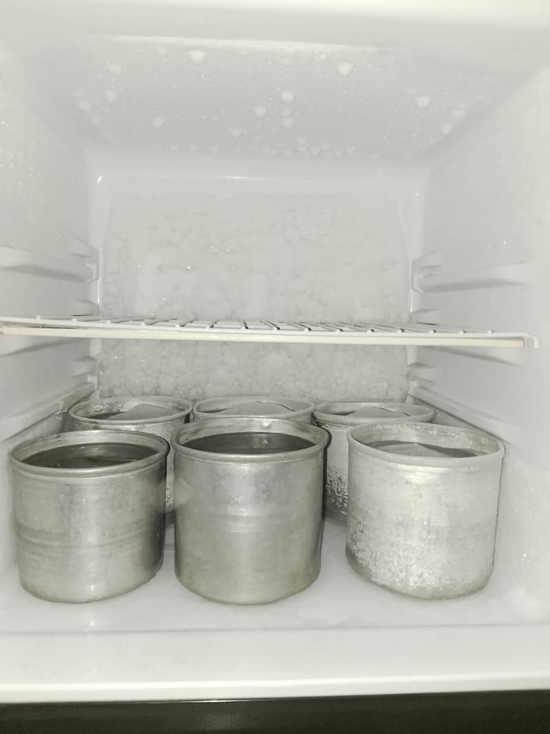 fridge 1