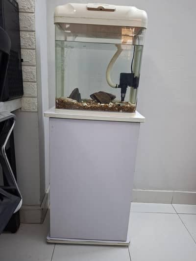 Fish Aquarium + Cabinet
