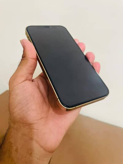 Apple iPhone 12 Pro