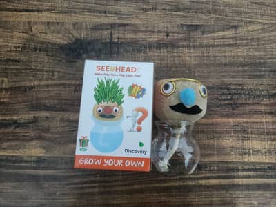 See Head Grass Growing Decoration Grass Head