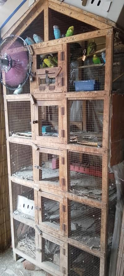 birds cage