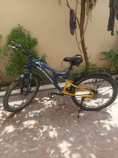 Original Morgan cycle