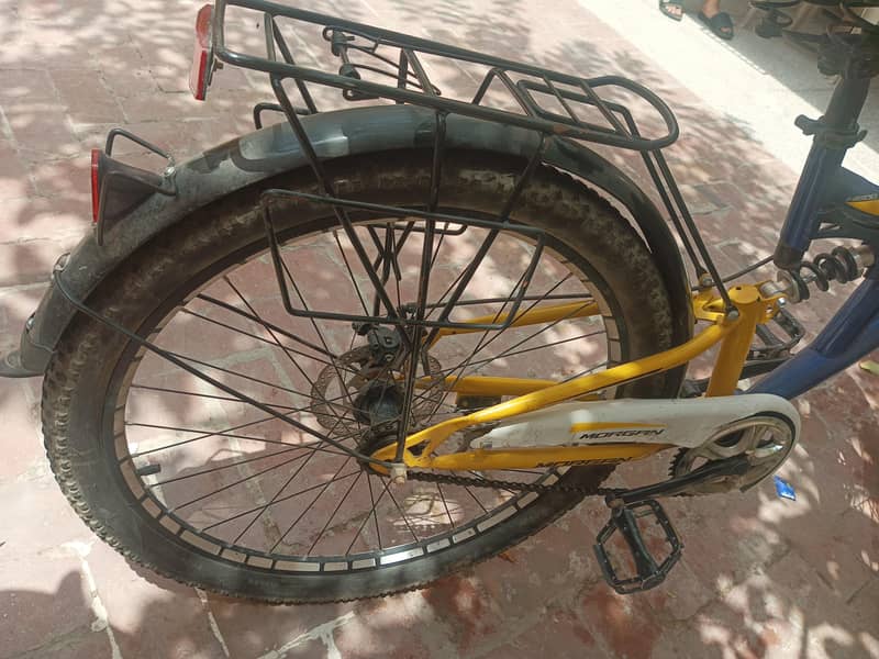 Original Morgan cycle 3