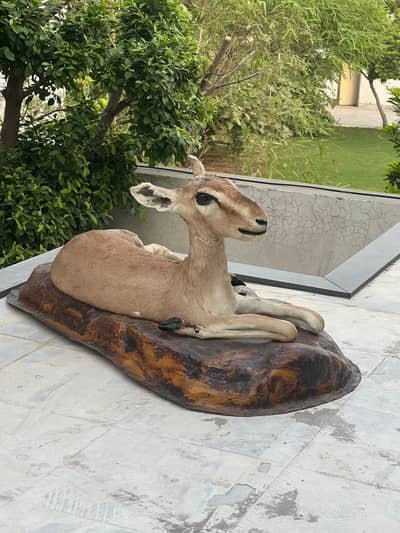Deer Mount | Deer Sculpture