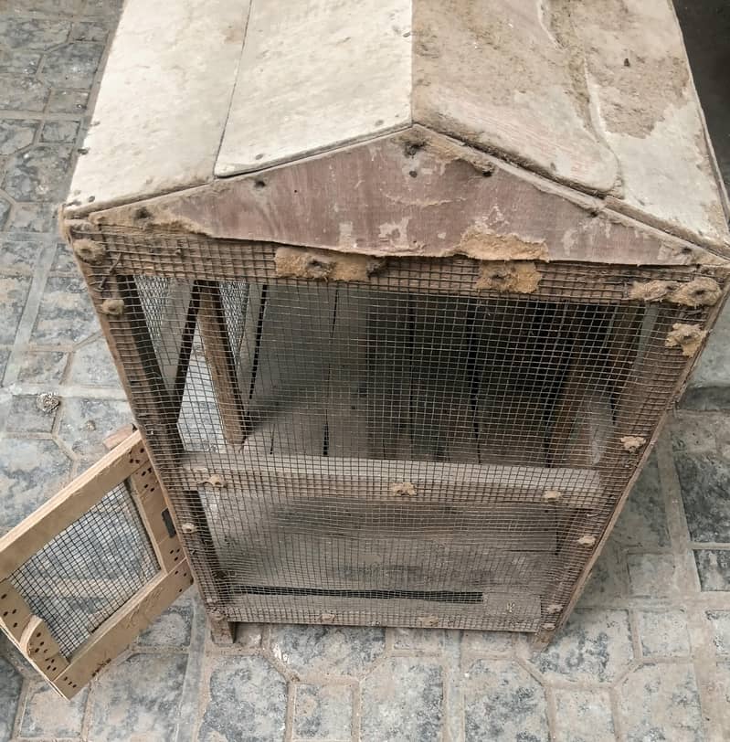 hen cage 1
