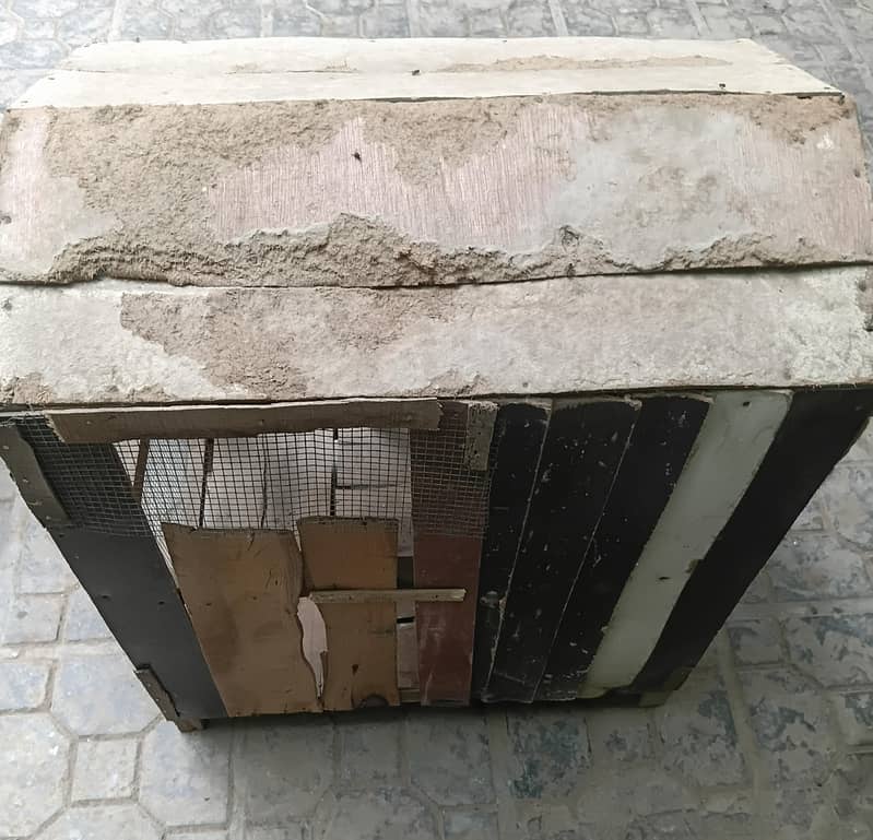 hen cage 2