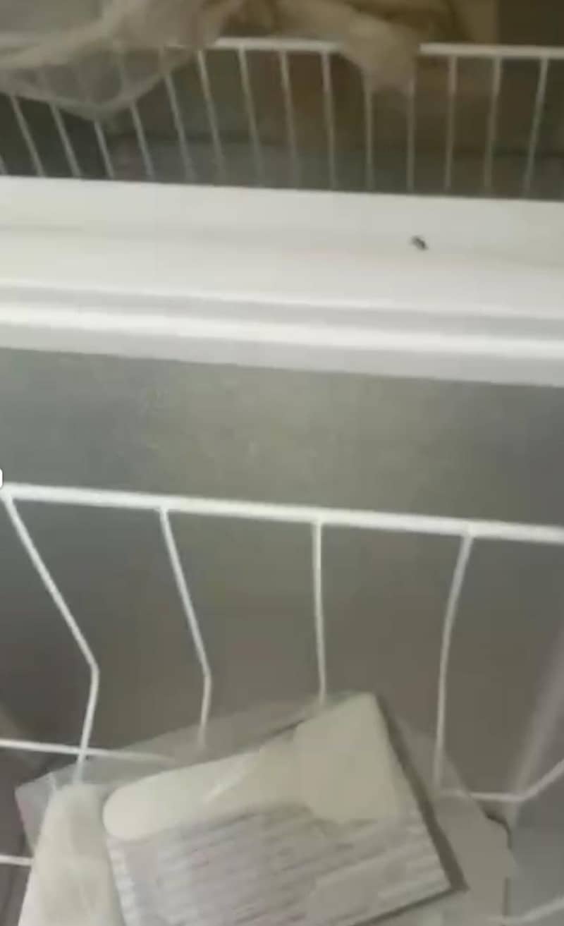 dawlance freezer 0