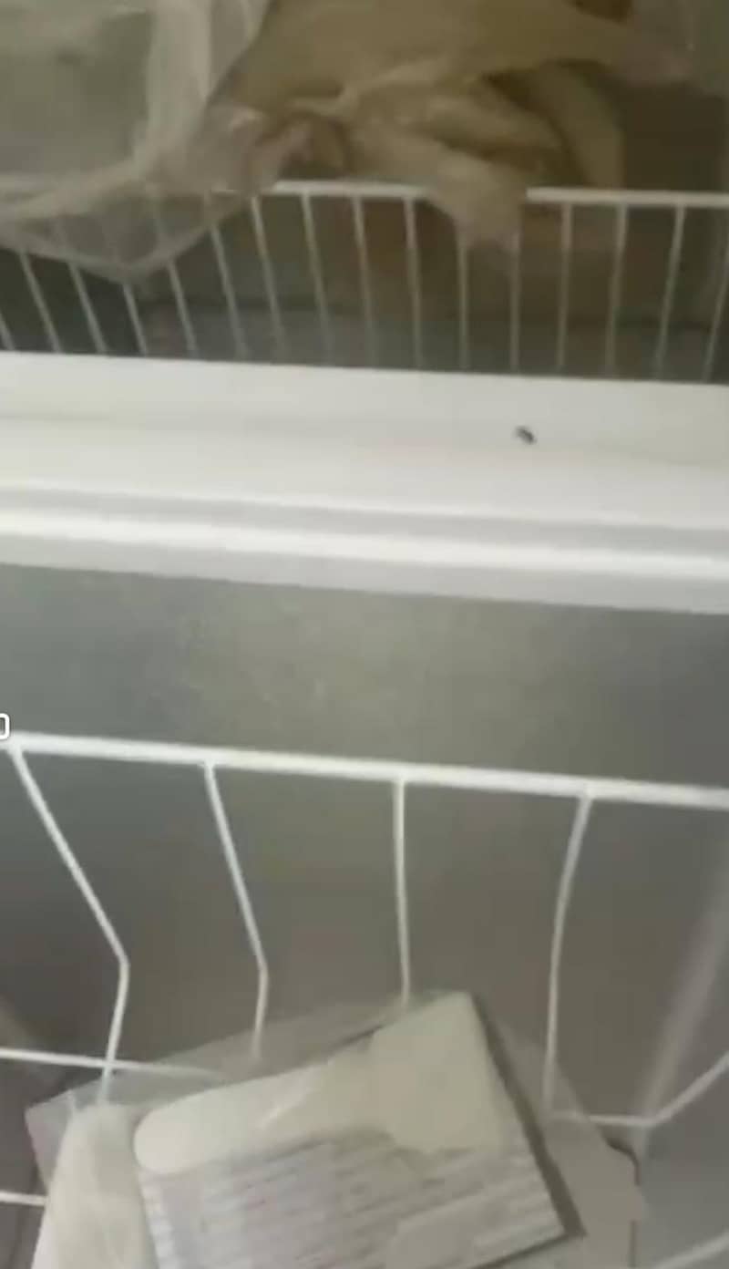 dawlance freezer 1