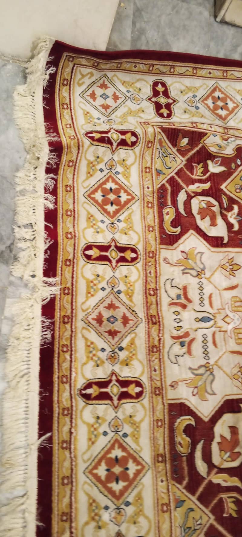 Carpet 1