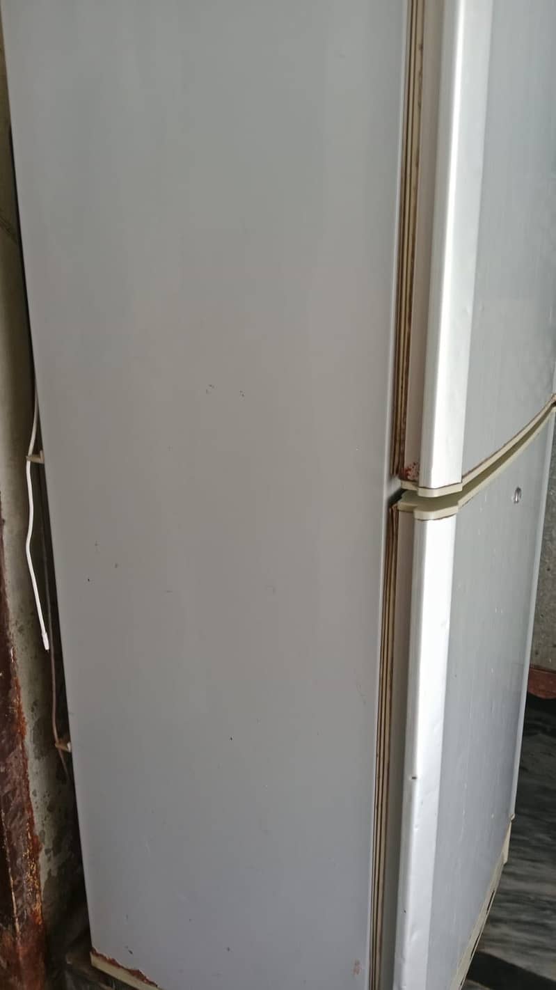 medium frezeer 1