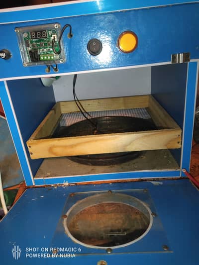 incubator 25 eggs
