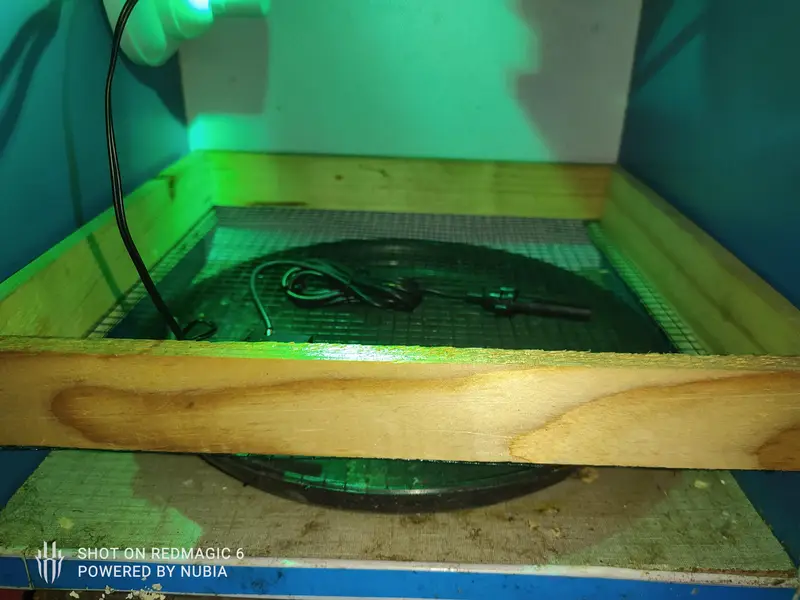 incubator 25 eggs — photo 4