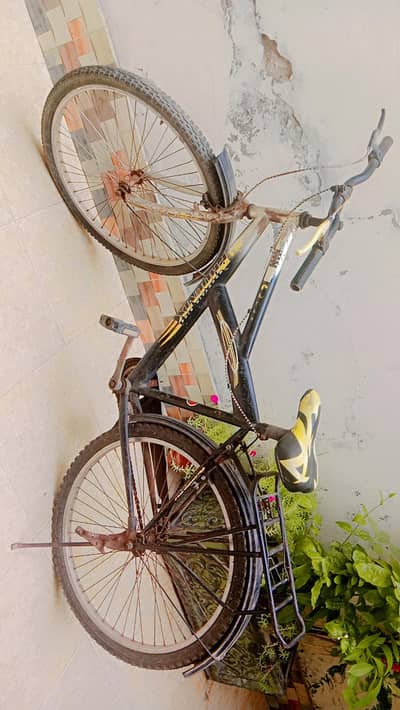 All service ok | Road cycle.