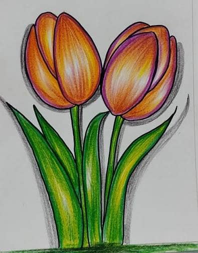 Easy Drawing Sketch for Coloring – Beautiful Art Ideas