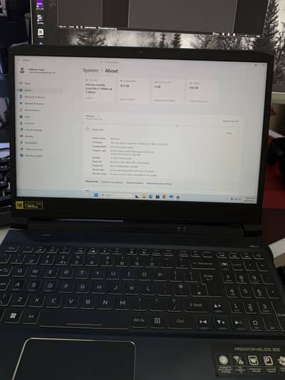 Acer Predator Helios 300 rgb gaming laptop rtx 3060 i7-11800h