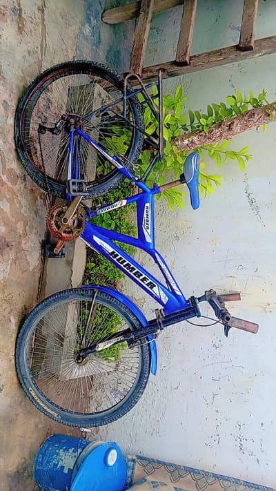 only serious buyer contact whtssap only