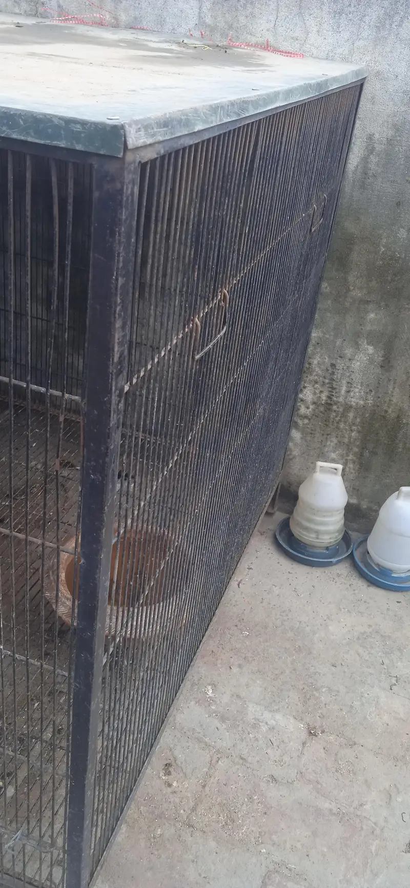 iron cage for sale 5 fit by 3 fit — photo 5
