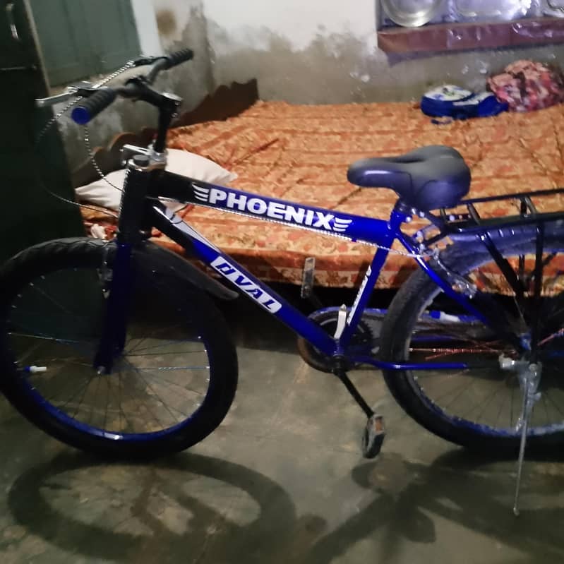 bicycle 0