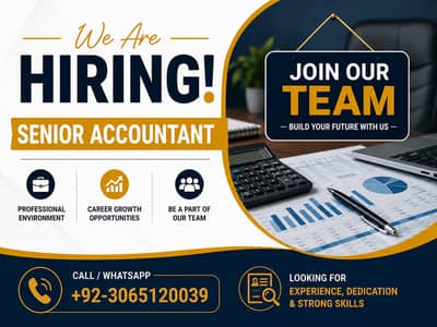 Senior Accountant